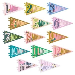 New🌟Anthropologie-Monthly Baby Milestone Pennants- Floral Collection